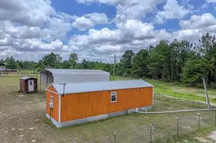 422 McDuff Dr, Alford, FL 32420 - Photo 6