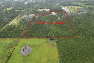 5175 Hwy 90, Marianna, FL 32446 - Photo 2
