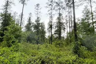 5175 Hwy 90, Marianna, FL 32446 - Photo 10
