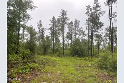 5175 Highway 90, Marianna, FL 32446 - Photo 8