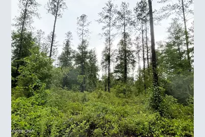 5175 Highway 90, Marianna, FL 32446 - Photo 10