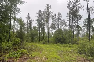 5175 Hwy 90, Marianna, FL 32446 - Photo 8