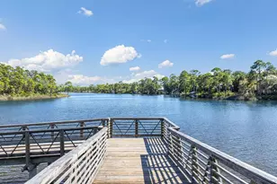 320 Naturewalk Blvd, Watersound, FL 32461 - Photo 44