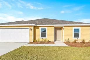 444 Salt Crk Ln, Mexico Beach, FL 32456 - Photo 1