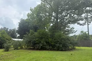 15021 SE Blue Bream Dr, Blountstown, FL 32424 - Photo 14