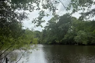 15021 SE Blue Bream Dr, Blountstown, FL 32424 - Photo 30