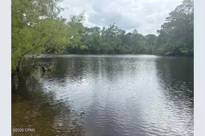 15021 SE Blue Bream Drive, Blountstown, FL 32424 - Photo 32