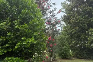 15021 SE Blue Bream Dr, Blountstown, FL 32424 - Photo 28