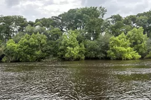 15021 SE Blue Bream Dr, Blountstown, FL 32424 - Photo 36