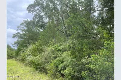0000 Beall Packing House Road, Bonifay, FL 32425 - Photo 6