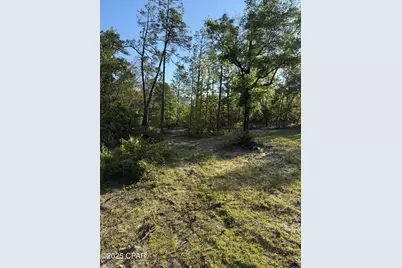 516 Goshun Creek Road, Chipley, FL 32428 - Photo 10