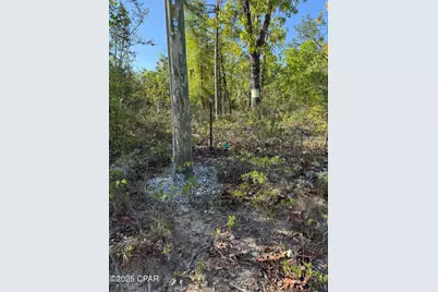 516 Goshun Creek Road, Chipley, FL 32428 - Photo 14