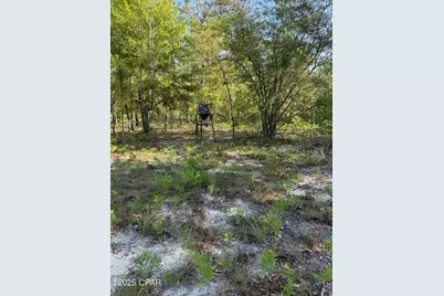 516 Goshun Creek Road, Chipley, FL 32428 - Photo 20
