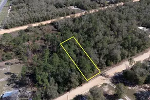 0 Dixie Ave, Fountain, FL 32438 - Photo 1