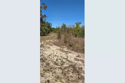 17627 Koerner Road, Fountain, FL 32438 - Photo 6
