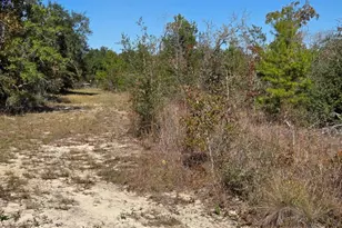 17627 Koerner Rd, Fountain, FL 32438 - Photo 6