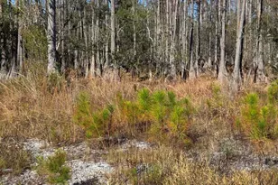 17627 Koerner Rd, Fountain, FL 32438 - Photo 4