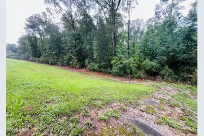 Tbd Highway 90, Bonifay, FL 32425 - Photo 2