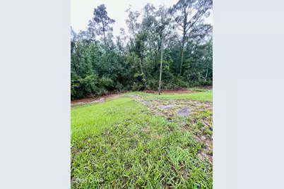 Tbd Highway 90, Bonifay, FL 32425 - Photo 4