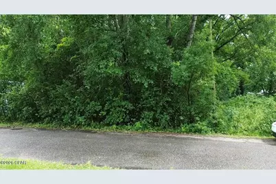 Lot 1 Washington Street, Graceville, FL 32440 - Photo 2