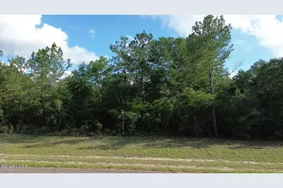 Lot 14 Firetower Road #11, Chipley, FL 32428 - Photo 4