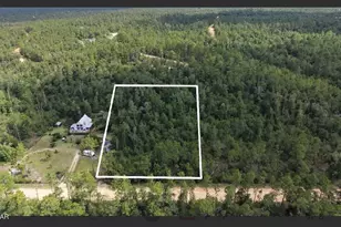 0 Arpana Circle, Alford, FL 32420 - Photo 1