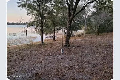 4393 Leisure Lakes Drive, Chipley, FL 32428 - Photo 6