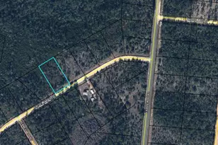 Tbd Cleveland Dr, Alford, FL 32420 - Photo 1
