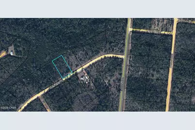 Tbd Cleveland Drive, Alford, FL 32420 - Photo 1