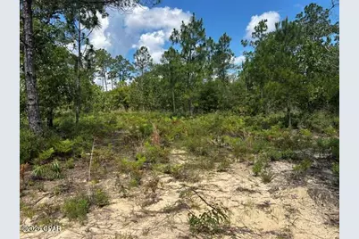 00 Ocala Drive, Alford, FL 32420 - Photo 4