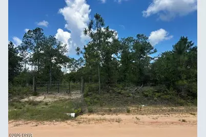 00 Ocala Drive, Alford, FL 32420 - Photo 2