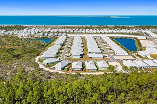 425 Vermilion Cir, Port Saint Joe, FL 32456 - Photo 44