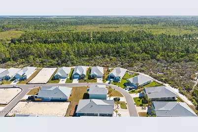 425 Vermilion Circle, Port Saint Joe, FL 32456 - Photo 44