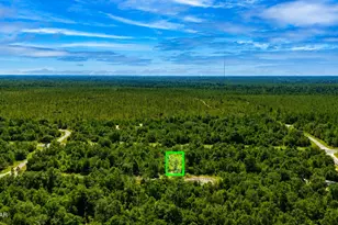 Lot 13 Hale Ct, Chipley, FL 32428 - Photo 1