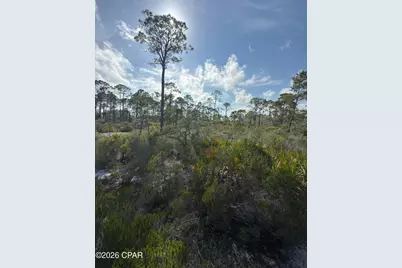 Lot A Adventure Avenue, Port Saint Joe, FL 32456 - Photo 2