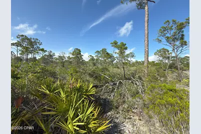 Lot A Adventure Avenue, Port Saint Joe, FL 32456 - Photo 6