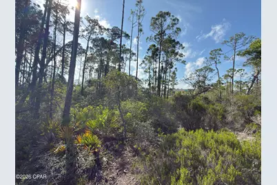 Lot A Adventure Avenue, Port Saint Joe, FL 32456 - Photo 10