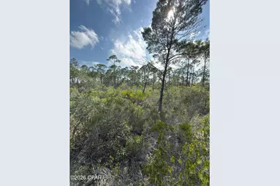 Lot A Adventure Avenue, Port Saint Joe, FL 32456 - Photo 4