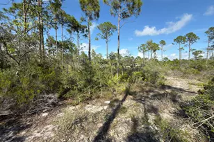 Lot A Adventure Ave, Port Saint Joe, FL 32456 - Photo 1
