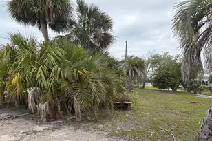 507 Cathey Ln, Mexico Beach, FL 32456 - Photo 1