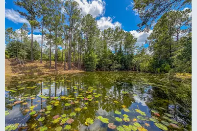 14344 NW State Road 20, Bristol, FL 32321 - Photo 84