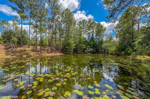 14344 NW State Road 20, Bristol, FL 32321 - Photo 84