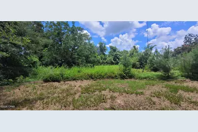 450 Henry Avenue, Wewahitchka, FL 32465 - Photo 10