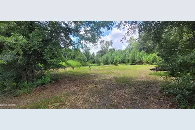 450 Henry Avenue, Wewahitchka, FL 32465 - Photo 12