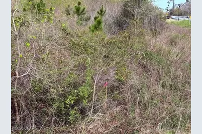 0 N 15th, Mexico Beach, FL 32456 - Photo 6