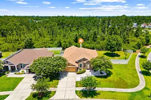 2902 Short Tail Ct, Panama City, FL 32405 - Photo 48