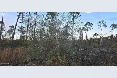 9641 Cr 386, Wewahitchka, FL 32465 - Photo 4