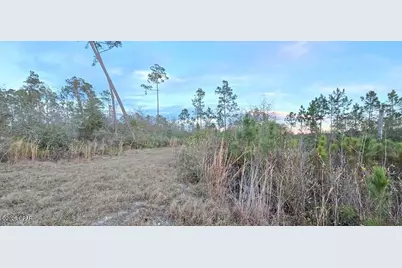 9641 Cr 386, Wewahitchka, FL 32465 - Photo 8