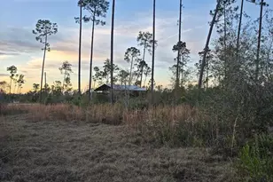 9641 Cr 386, Wewahitchka, FL 32465 - Photo 1