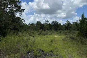 19716 Deep Springs Rd, Fountain, FL 32438 - Photo 14